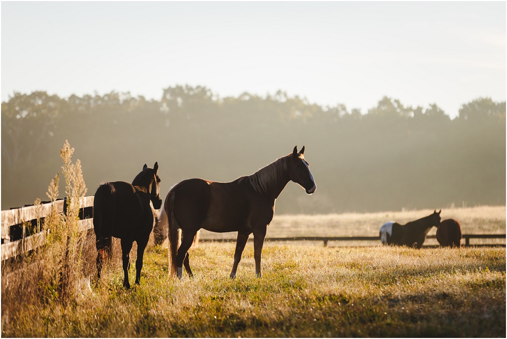 Horse Engagement Maryland Richmond Wedding Photographers_0136