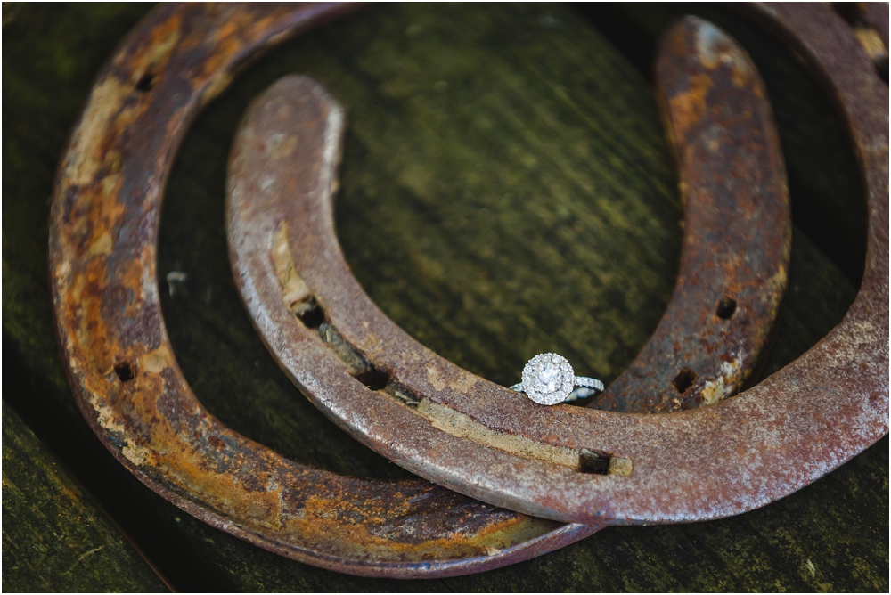 Horse Engagement Maryland Richmond Wedding Photographers_0158