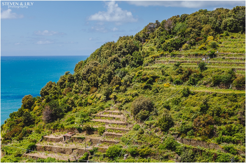 Cinque_Terre_Italy_Venice_Italy_Europe_0038