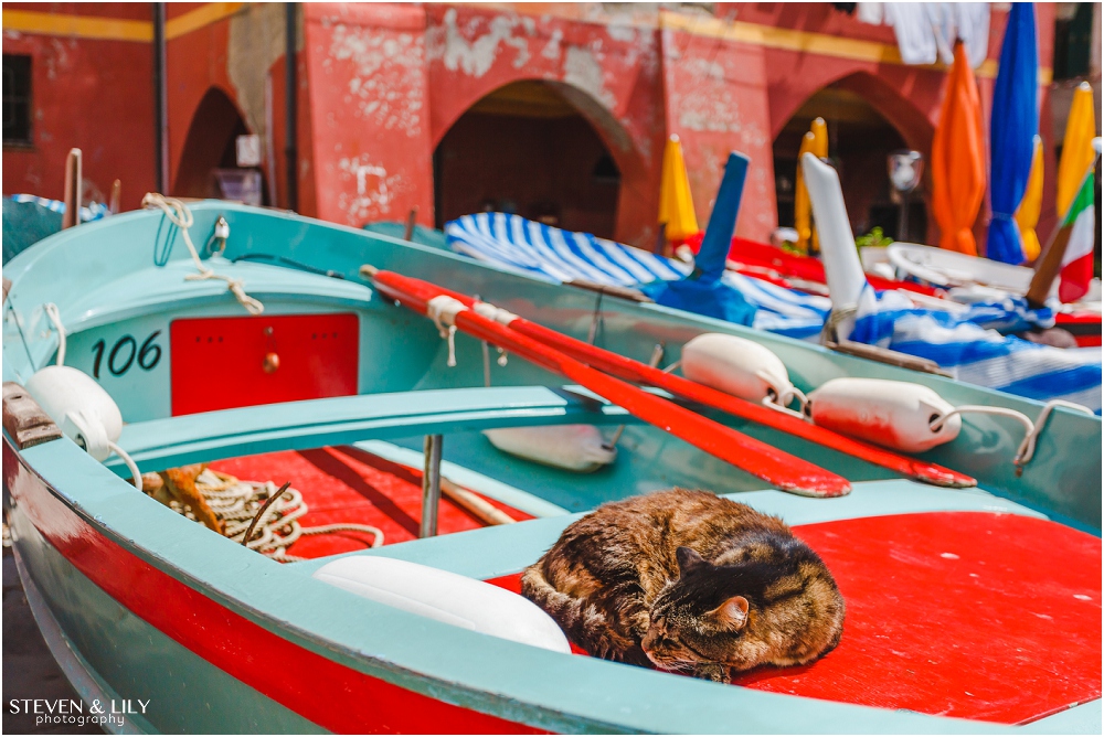 Cinque_Terre_Italy_Venice_Italy_Europe_0042