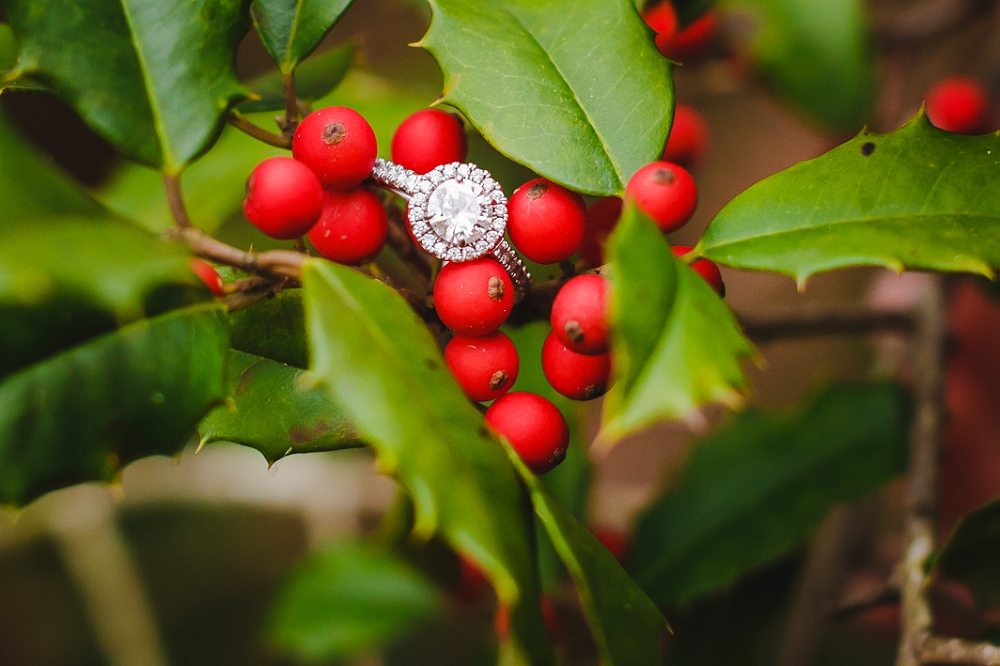 Maymont Park Engagement Session Richmond Virginia Wedding Photographers_0040