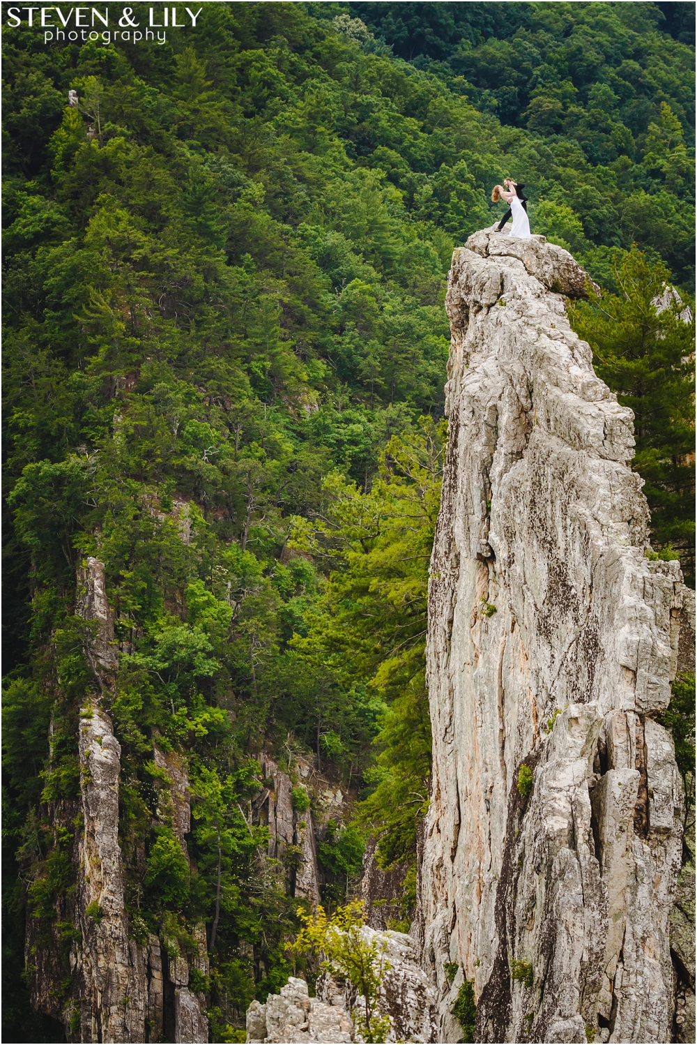 Canaan Valley Resort Wedding Richmond Virginia Wedding Photographer Virginia Wedding_0663