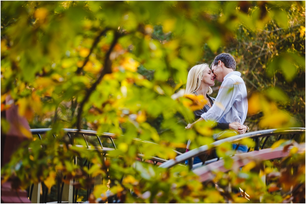 William and Mary Williamsburg Engagement Session Richmond Virginia Wedding Photographer Virginia Wedding_0893