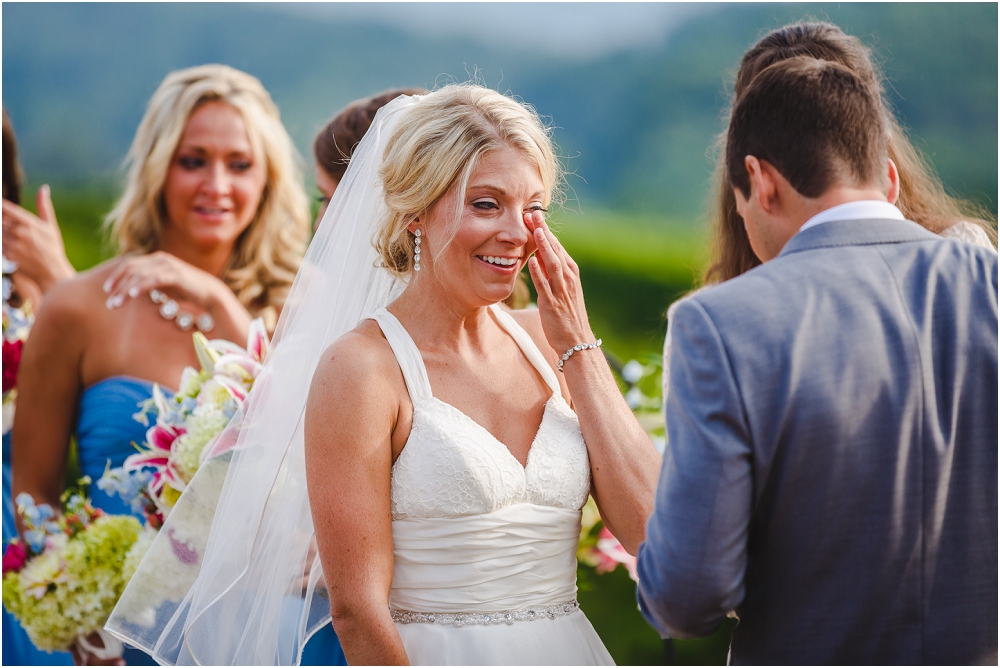 Pippin Hill Farm and Vineyard Wedding Charlottesville Wedding Richmond Virginia Wedding Photographer Virginia Wedding_0181