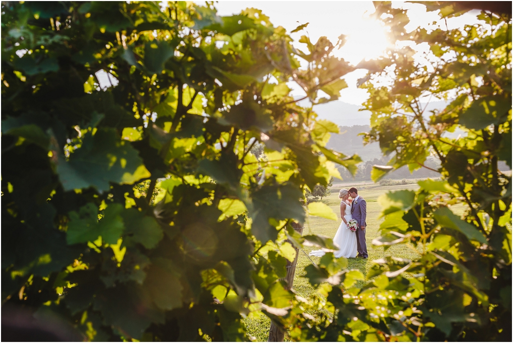 Pippin Hill Farm and Vineyard Wedding Charlottesville Wedding Richmond Virginia Wedding Photographer Virginia Wedding_0190