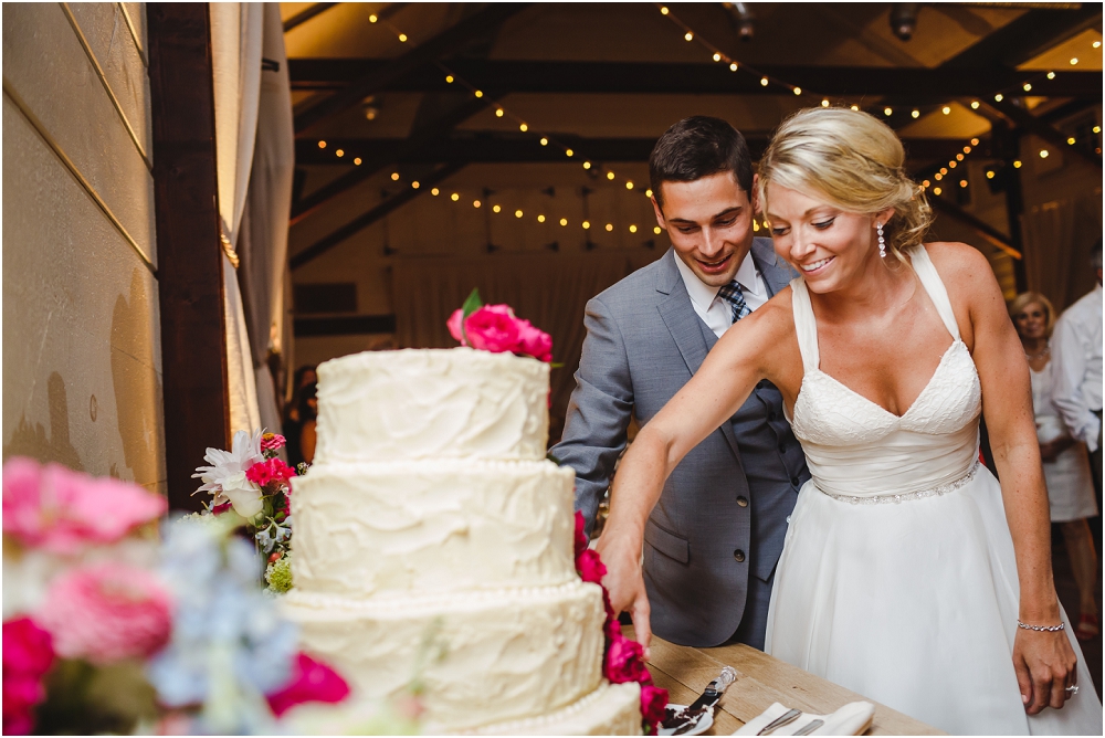 Pippin Hill Farm and Vineyard Wedding Charlottesville Wedding Richmond Virginia Wedding Photographer Virginia Wedding_0207