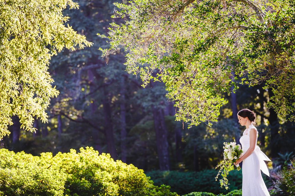 norfolk botanical gardens bridal session-5064