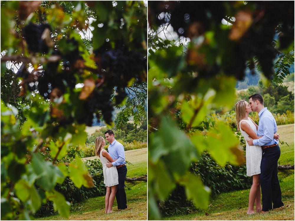 Pippin Hill Engagement Session Virginia Wedding Photographer Virginia Wedding_0621