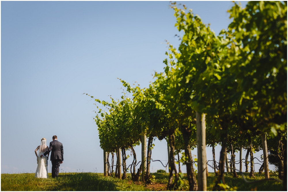 Veritas Winery Wedding Charlottesville Virginia Wedding Richmond Wedding photographers_0262