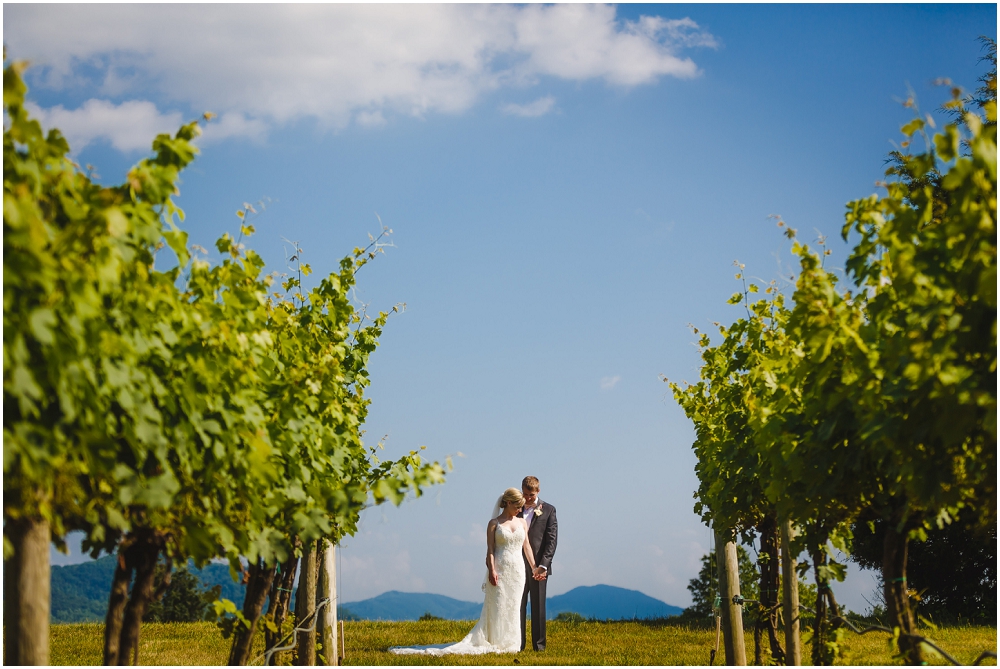 Veritas Winery Wedding Charlottesville Virginia Wedding Richmond Wedding photographers_0263