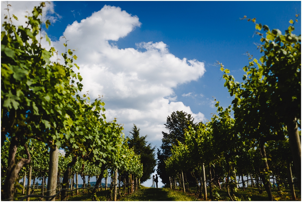 Veritas Winery Wedding Charlottesville Virginia Wedding Richmond Wedding photographers_0265