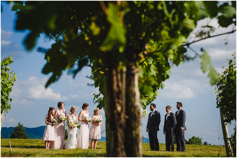 Veritas Winery Wedding Charlottesville Virginia Wedding Richmond Wedding photographers_0271