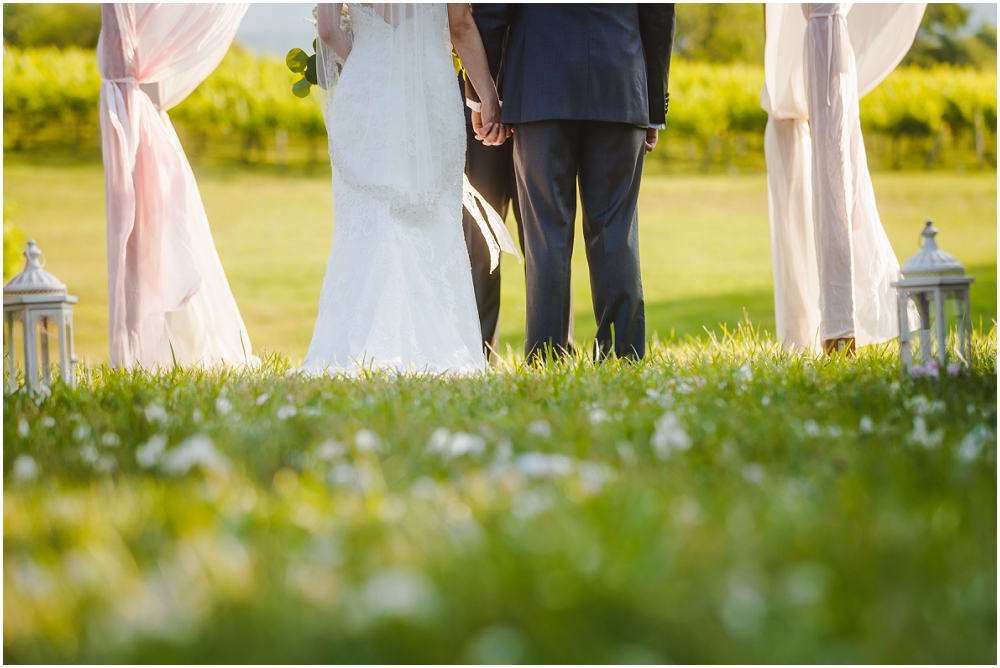 Veritas Winery Wedding Charlottesville Virginia Wedding Richmond Wedding photographers_0275