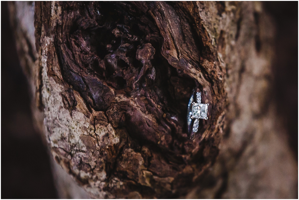 University of Virginia Engagement Session UVA Engagement Virginia Wedding Richmond Wedding photographers_0151