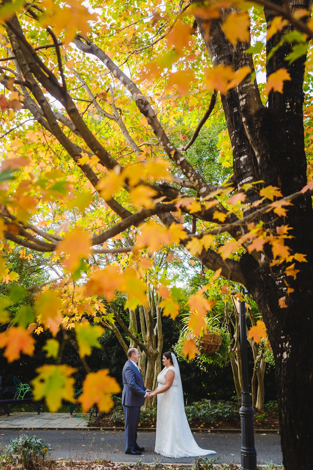 Lewis Ginter Botanical Gardens Wedding Virginia Wedding Richmond Virginia Wedding Photographers_0005