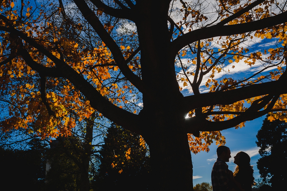 Maymont Park Engagement Session Virginia Wedding Richmond Virginia Wedding Photographers_0153