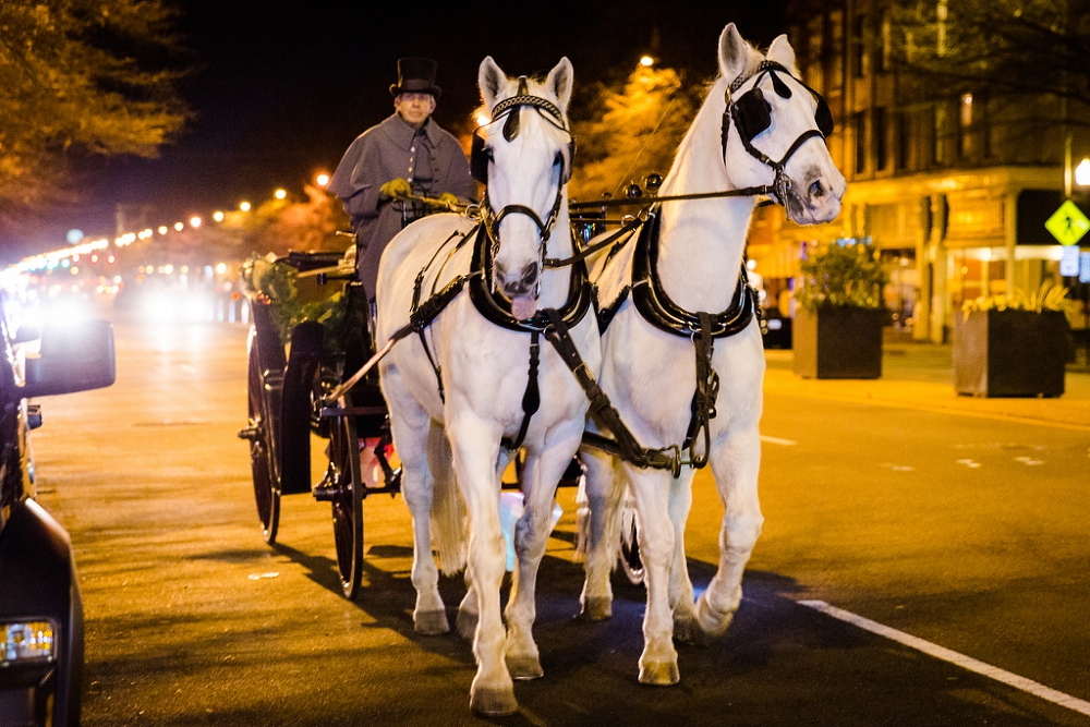 The Renaissance Richmond Wedding Steven and Lily Photography Richmond Wedding Photographers_0123