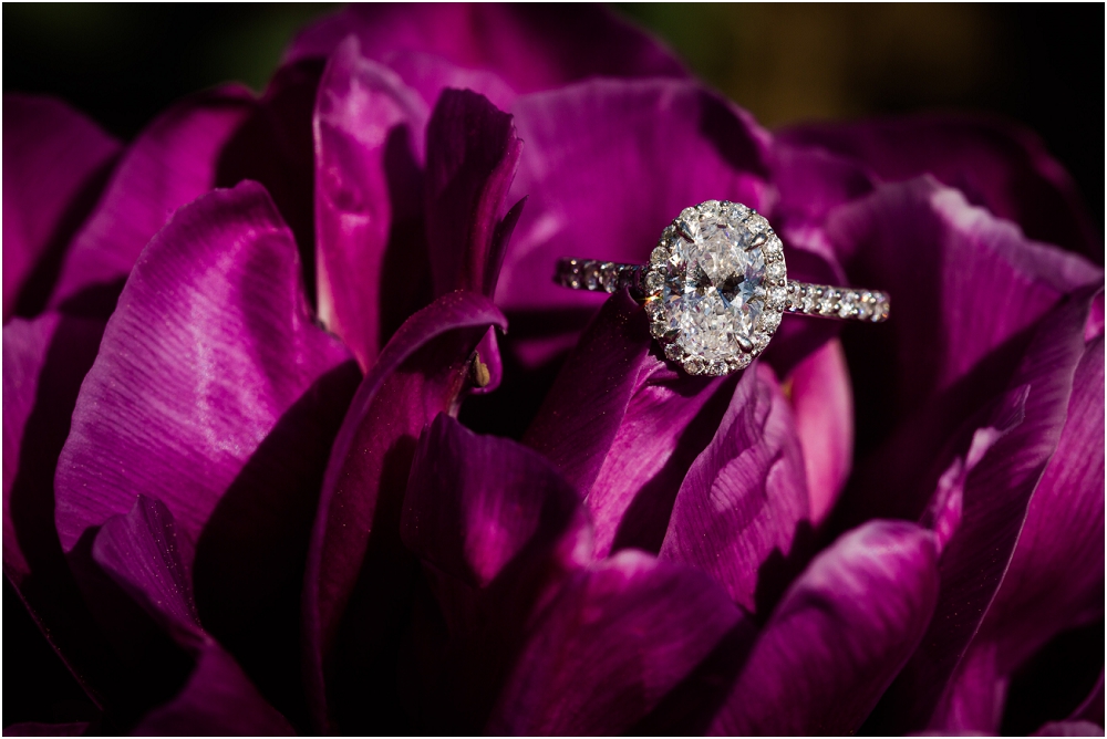 Maymont Park Engagement Session Virginia Richmond Virginia Wedding_0013