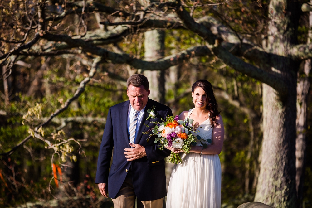 Shenandoah National Park Poe Museum Wedding Richmond Wedding Photographers Virginia Wedding_0019