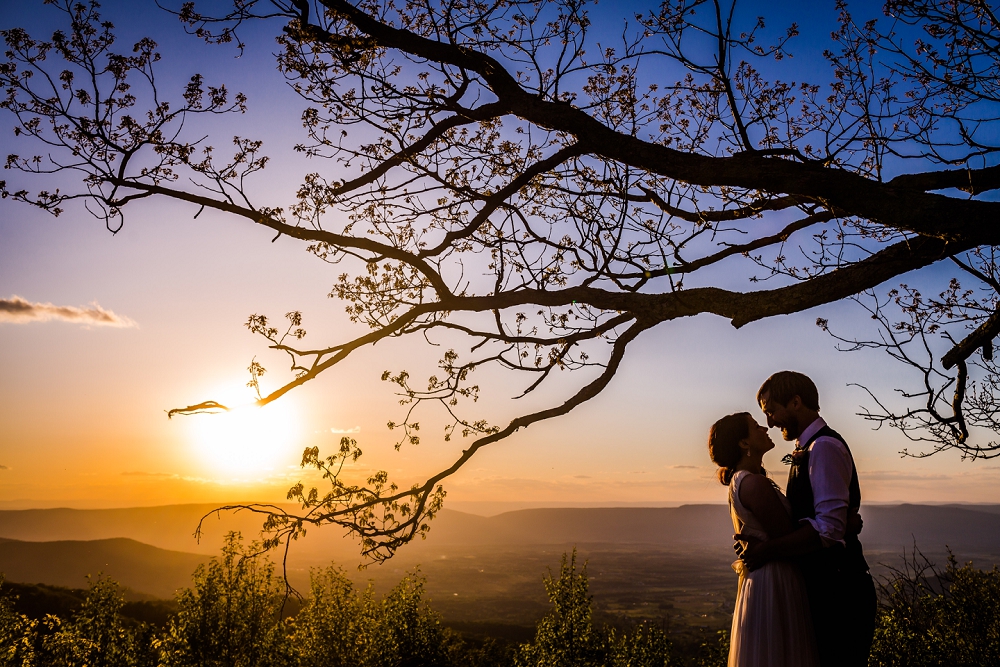 Shenandoah National Park Poe Museum Wedding Richmond Wedding Photographers Virginia Wedding_0024