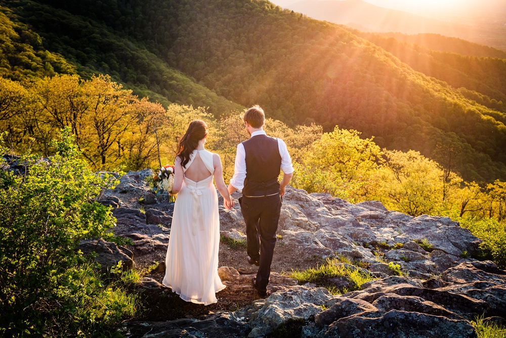 Shenandoah National Park Poe Museum Wedding Richmond Wedding Photographers Virginia Wedding_0026