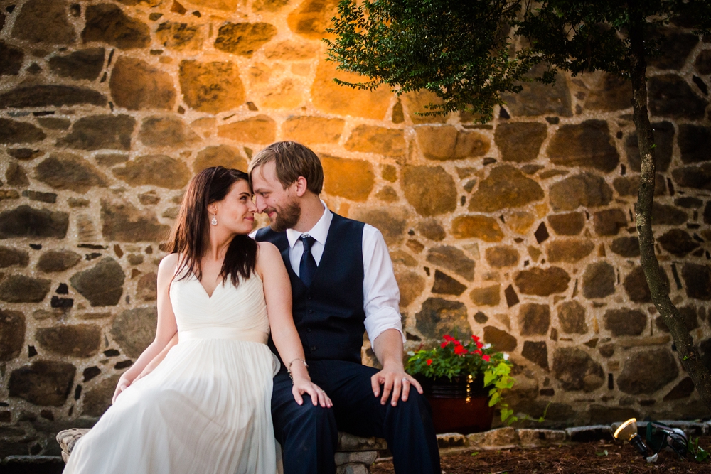 Shenandoah National Park Poe Museum Wedding Richmond Wedding Photographers Virginia Wedding_0035