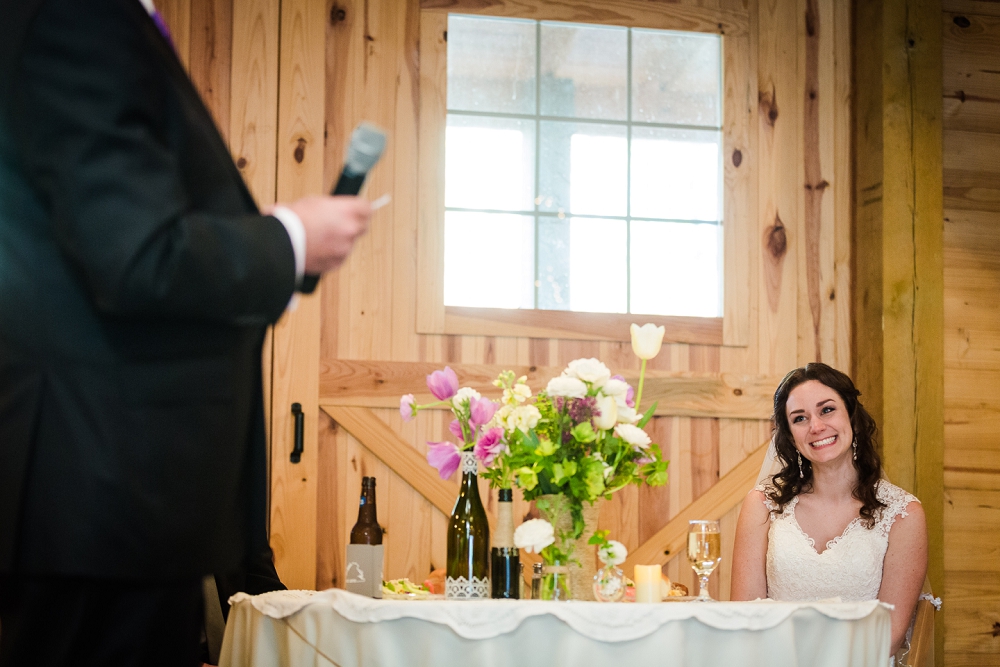 Sierra Vista Wedding Bedford Virginia Richmond Wedding Photographers_0034