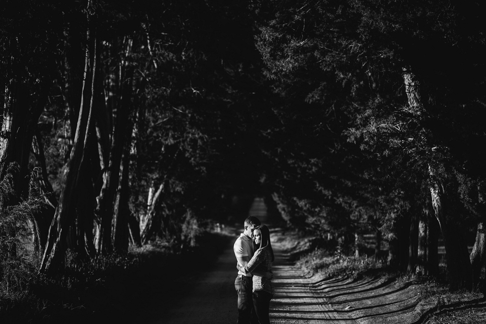 tuckahoe-plantation-engagement-session-wedding-richmond-wedding-photographers-lexington-wedding_0013
