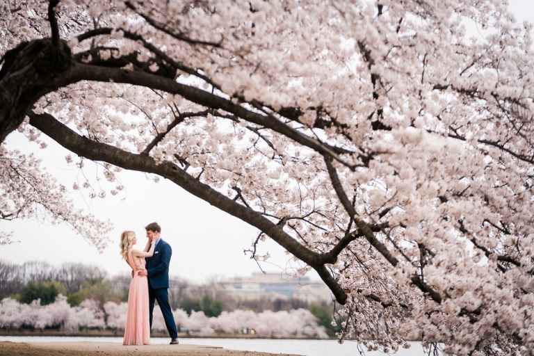Emily and John’s DC Cherry Blossom Engagement Session